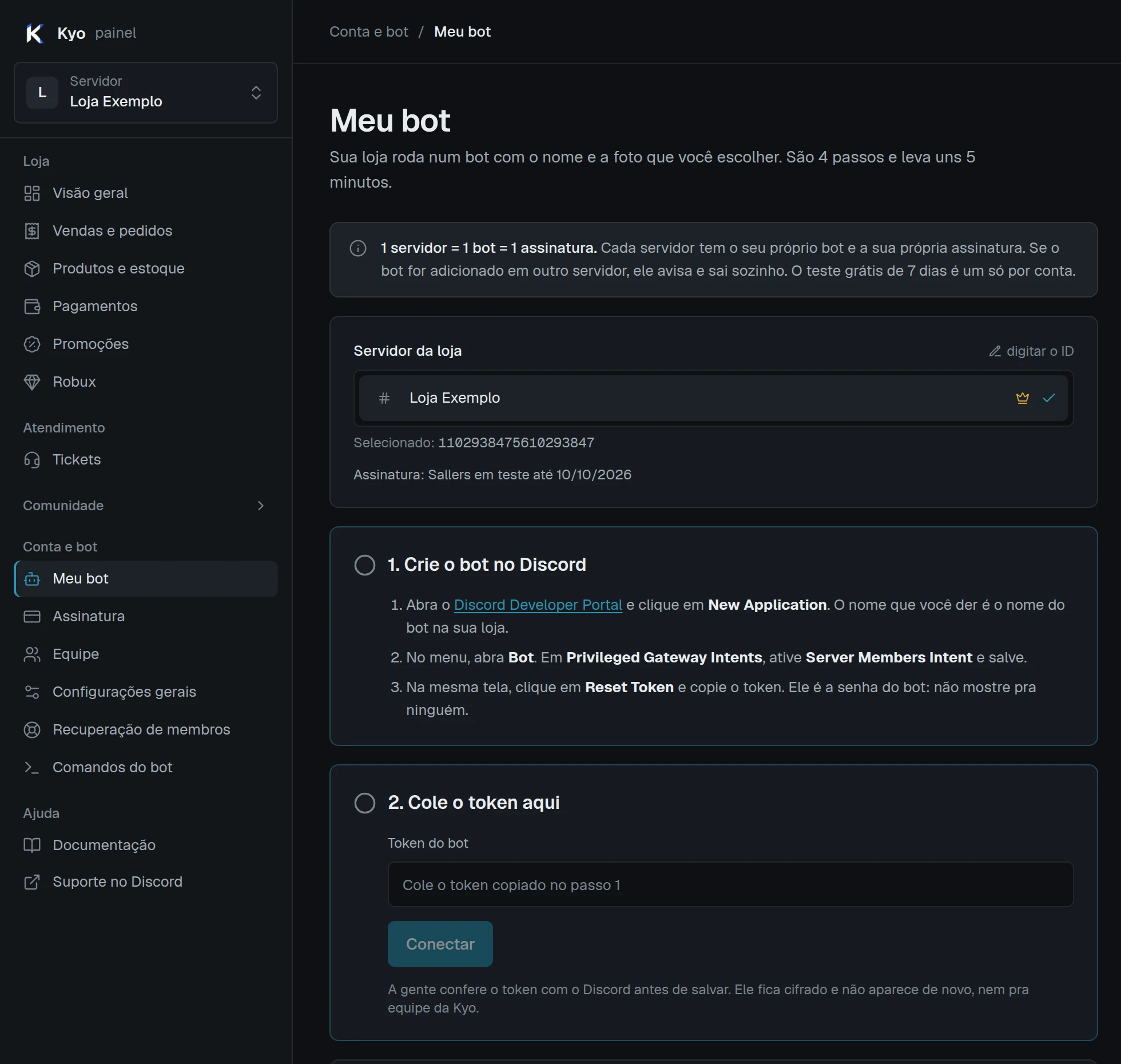 Tela Meu bot do painel: caixa Servidor da loja, passo 1 Crie o bot no Discord com o link do Developer Portal e passo 2 Cole o token aqui com o botão Conectar.